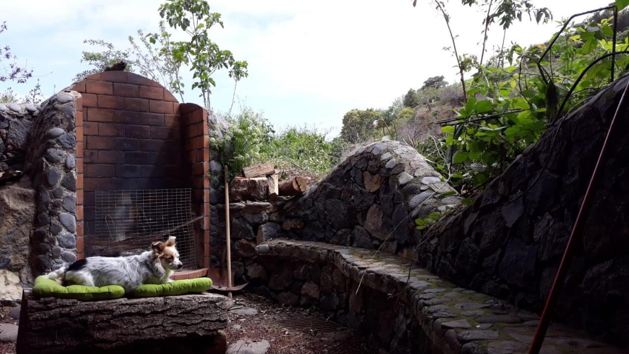 Finca Rural House Tenerife Relax And Enjoy Santa Úrsula Eksteriør bilde