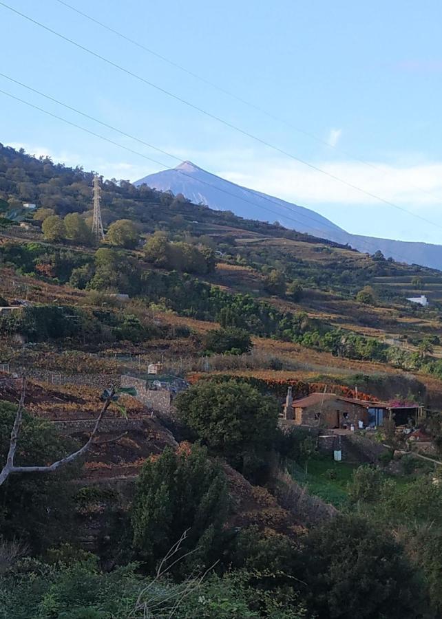 Finca Rural House Tenerife Relax And Enjoy Santa Úrsula Eksteriør bilde