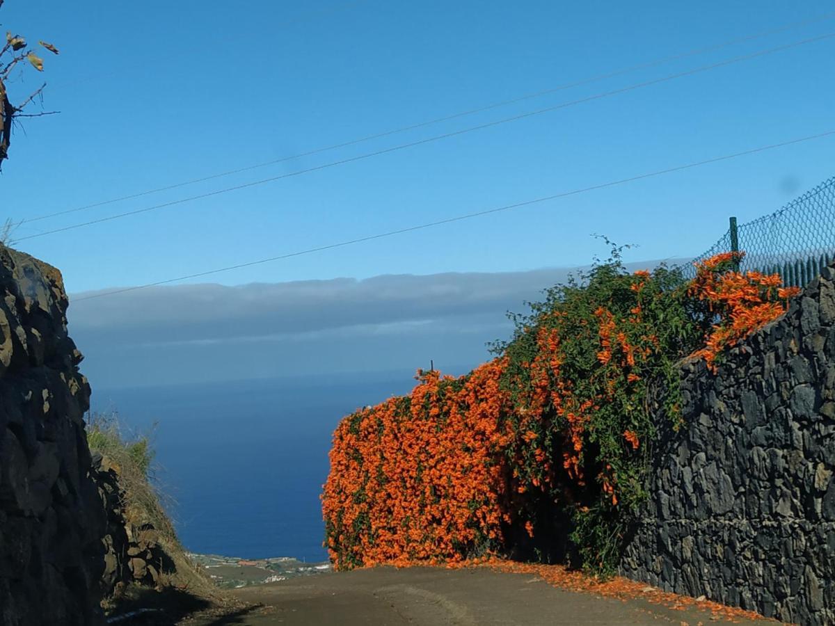 Finca Rural House Tenerife Relax And Enjoy Santa Úrsula Eksteriør bilde