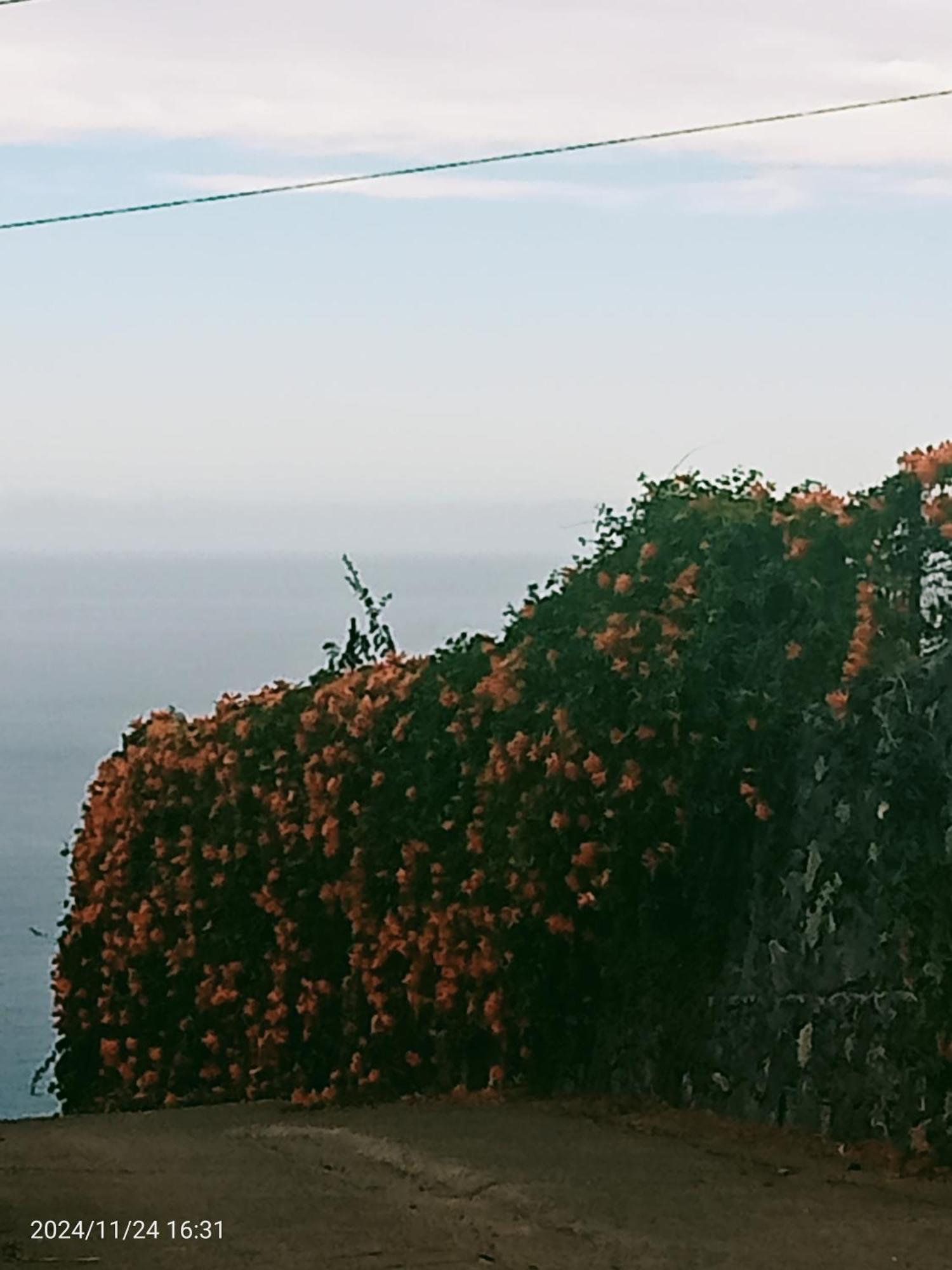 Finca Rural House Tenerife Relax And Enjoy Santa Úrsula Eksteriør bilde