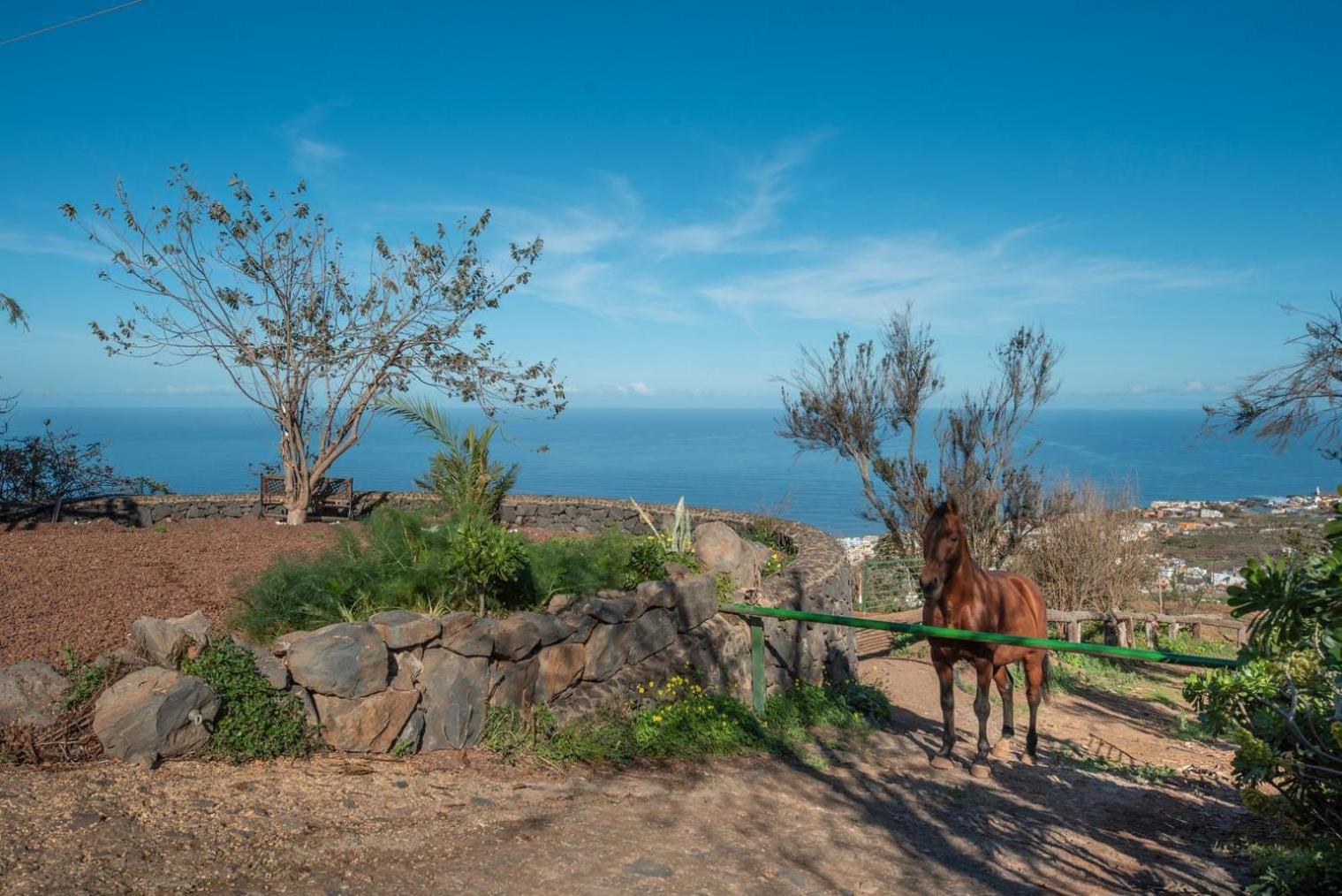 Finca Rural House Tenerife Relax And Enjoy Santa Úrsula Eksteriør bilde