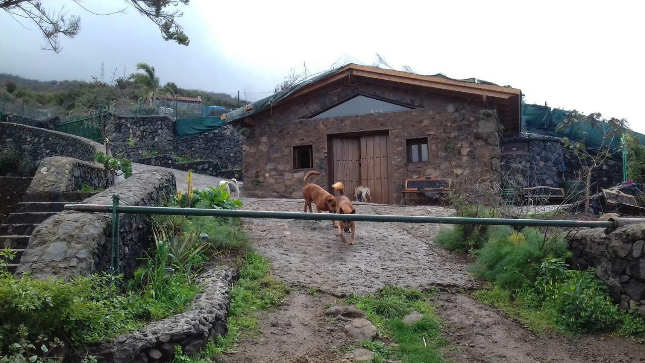 Finca Rural House Tenerife Relax And Enjoy Santa Úrsula Eksteriør bilde