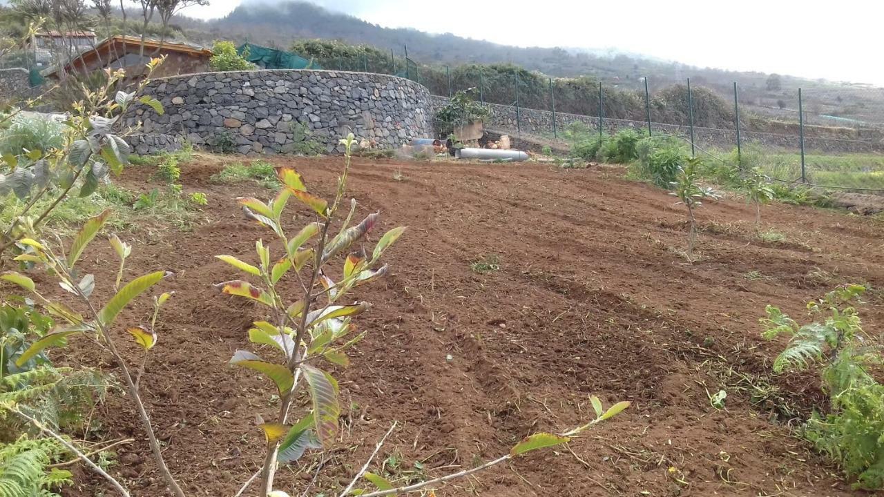 Finca Rural House Tenerife Relax And Enjoy Santa Úrsula Eksteriør bilde
