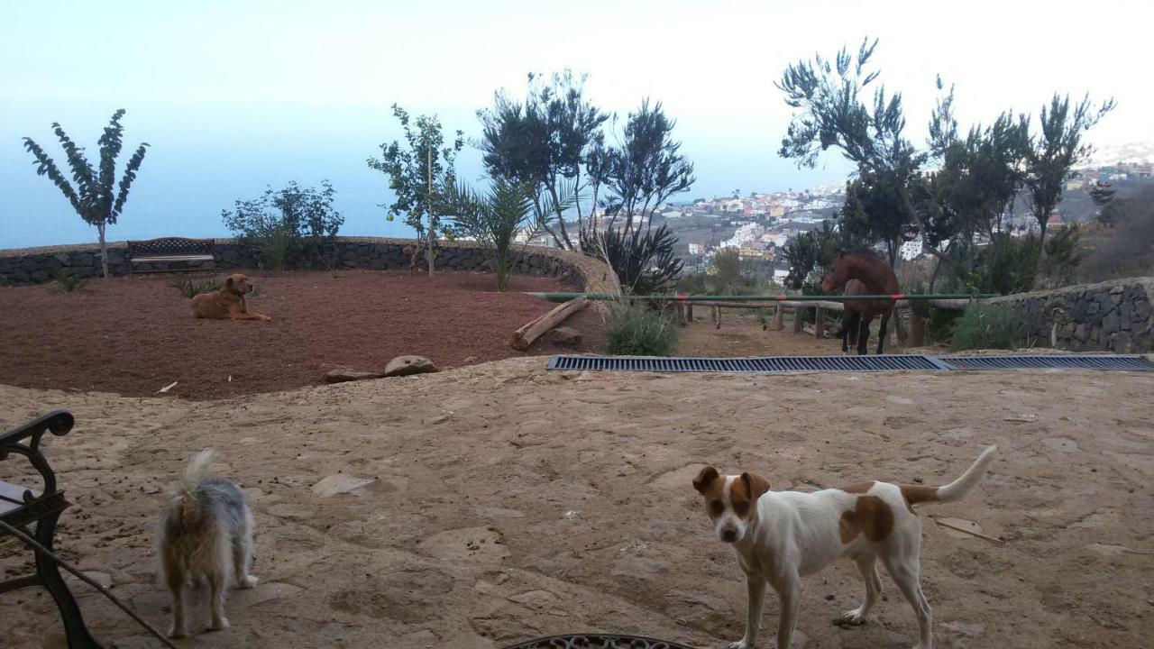 Finca Rural House Tenerife Relax And Enjoy Santa Úrsula Eksteriør bilde